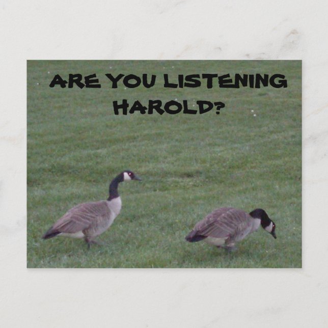 ARE YOU LISTENING HAROLD? postcard (Front)