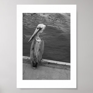 Are You Looking At Me Black and White Photography Poster