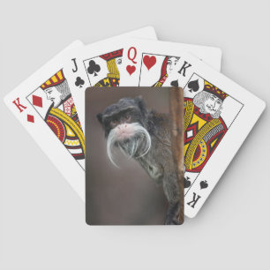 Are You My Barber? Playing Cards