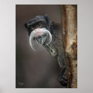Are You My Barber? Print