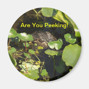 Are You Peeking! Magnet
