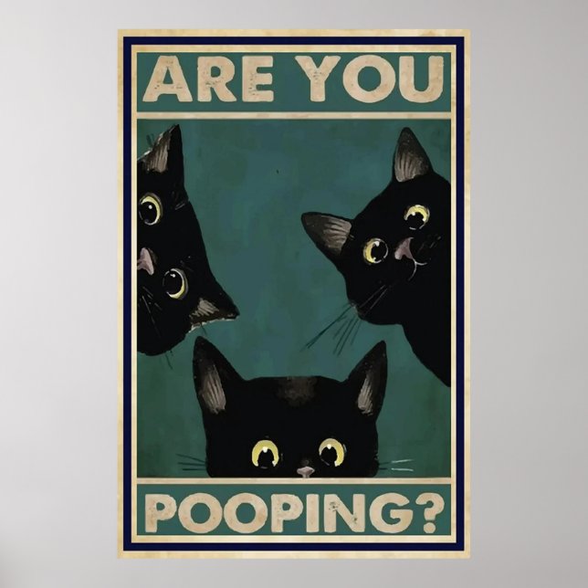 Are You Pooping Black Cat Poster (Front)