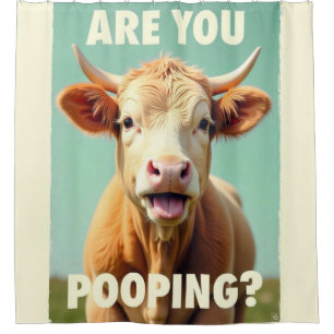 Are You Pooping? Funny Highland Cow, Cow Art Shower Curtain