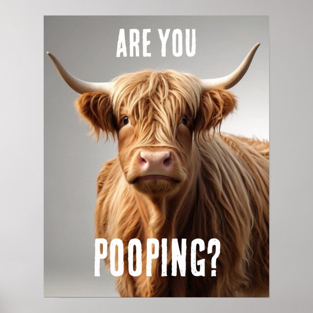 Are you Pooping Funny Highland Cow Toilet Bathroom Poster (Front)