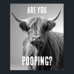 Are you Pooping Highland Cow Toilet Humour Bathroo Poster<br><div class="desc">"highland cow bathroom wall art",  "scottish highland cow poster" "restroom bath animal print",  "cute horned bull with horns",  "whimsical cowboy ranch farmer",  "funny humourous farm humour",  "are you pooping poop",  "realistic animals photography picture",  "sitting on the toilet photo",  "black and white washroom question"</div>