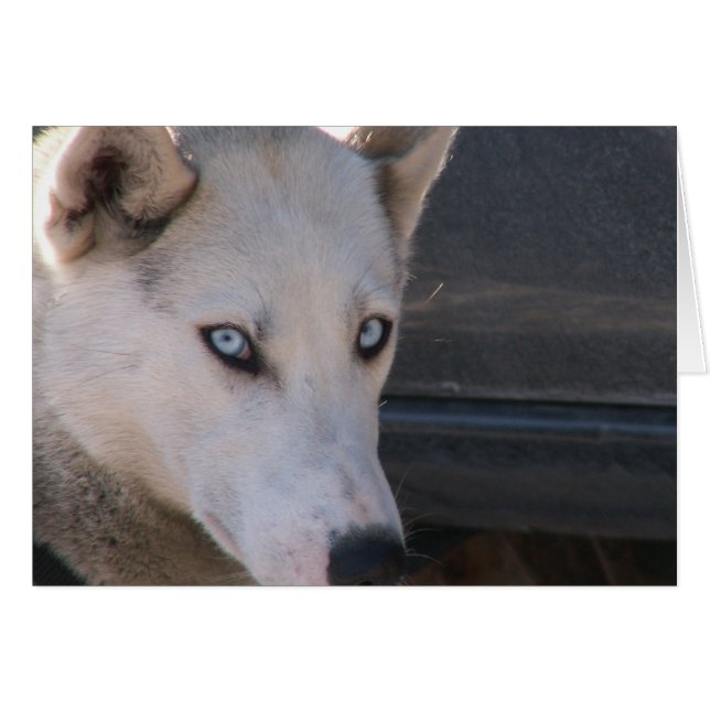 Are You Ready (Front Horizontal)