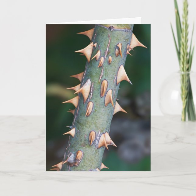 Are You Ready? Card (Front)