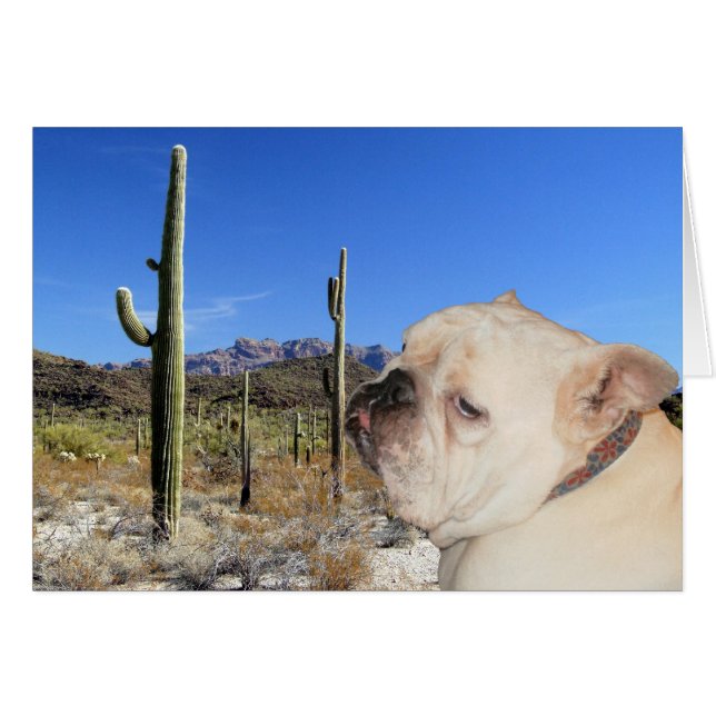 Are you serious? (Front Horizontal)