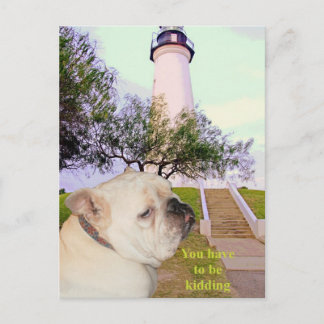 Are you serious? postcard