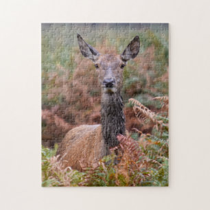 Are You Talking to Me? - 11x14 - 252 pieces Jigsaw Puzzle