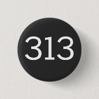 Area Code 313 (Detroit)