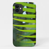 Areca Palm Frond