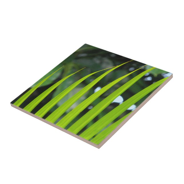 Areca Palm Frond Tile (Side)