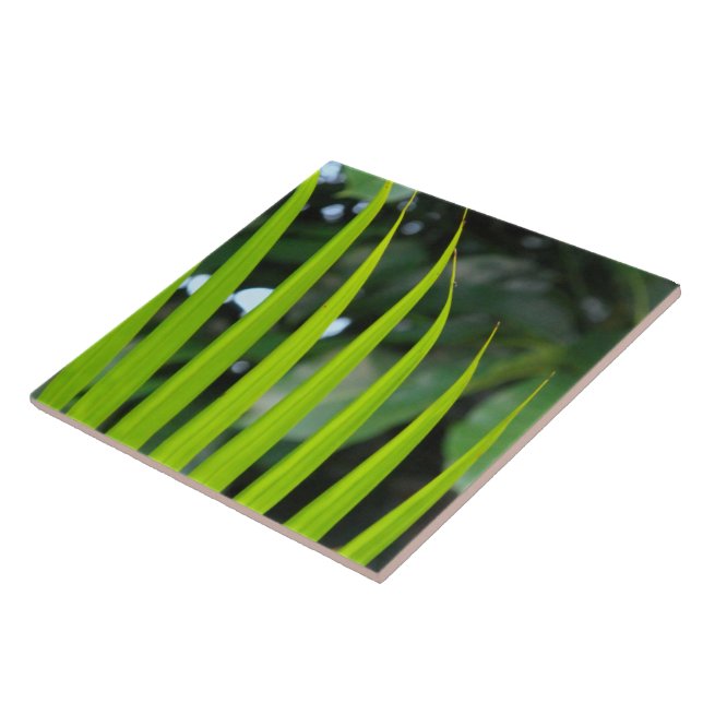 Areca Palm Frond Tile (Side)