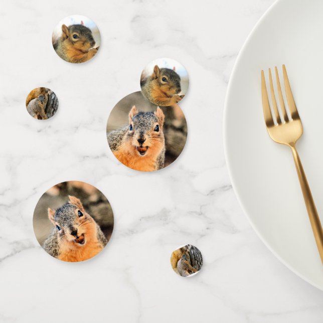 Aren't you coming? squirrels  confetti (Group)