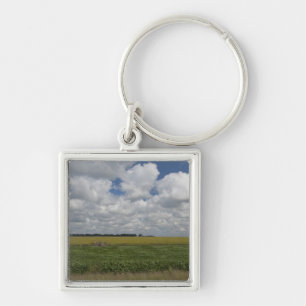 Argentina, Buenos Aires, San Antonio de Areco. Key Ring