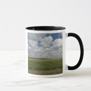 Argentina, Buenos Aires, San Antonio de Areco. Mug