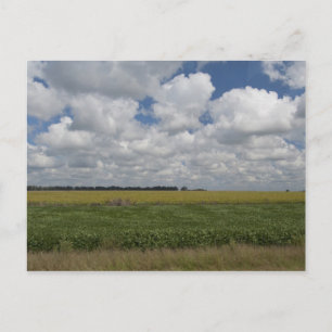 Argentina, Buenos Aires, San Antonio de Areco. Postcard