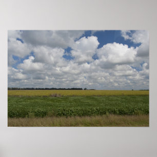 Argentina, Buenos Aires, San Antonio de Areco. Poster