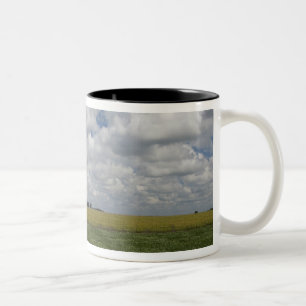 Argentina, Buenos Aires, San Antonio de Areco. Two-Tone Coffee Mug