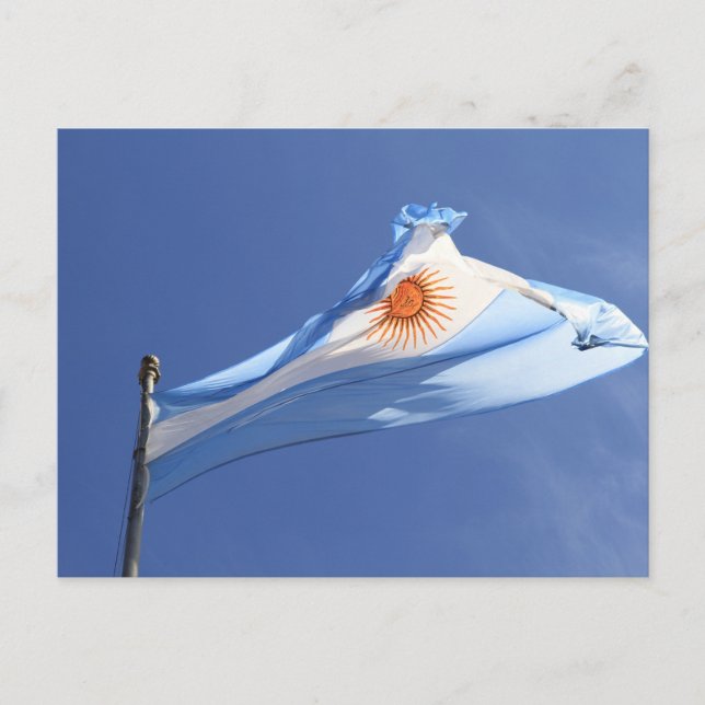 Argentina Flag in wind Postcard (Front)