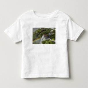 Argentina, Iguacu Falls. Rainbow at Iguacu Toddler T-Shirt