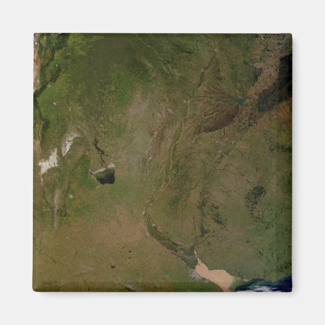 Argentina Magnet (Front)