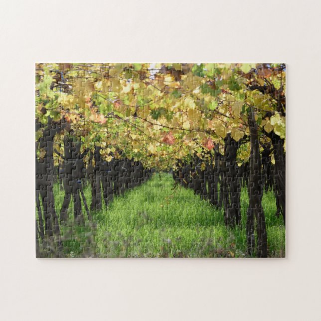 Argentina, Mendoza, Row Of Grape In Vineyard Jigsaw Puzzle (Horizontal)