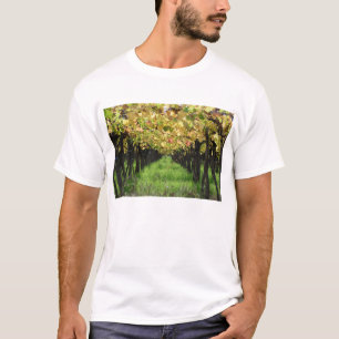 Argentina, Mendoza, Row Of Grape In Vineyard T-Shirt