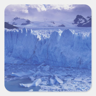Argentina, Patagonia, Parque Nacional los Square Sticker