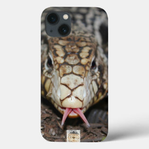 Argentine Tegu iPhone 13 Case