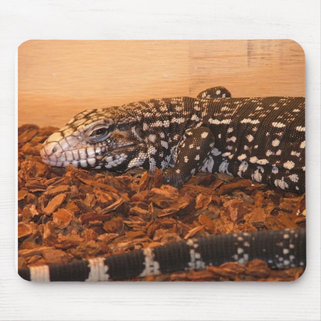 Argetine Black And white Tegu Mouse Pad (Front)