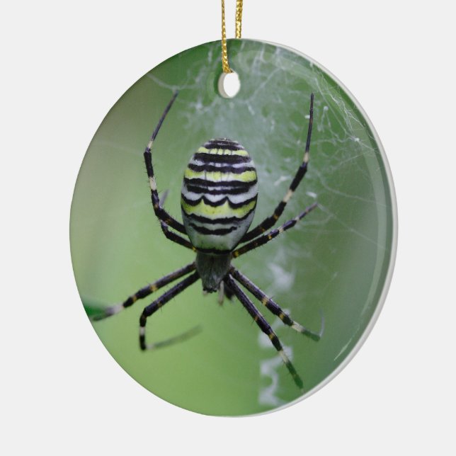 Argiope bruennichi ceramic ornament (Left)