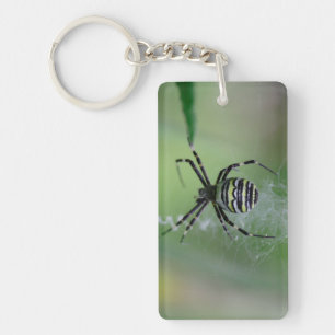 Argiope bruennichi key ring