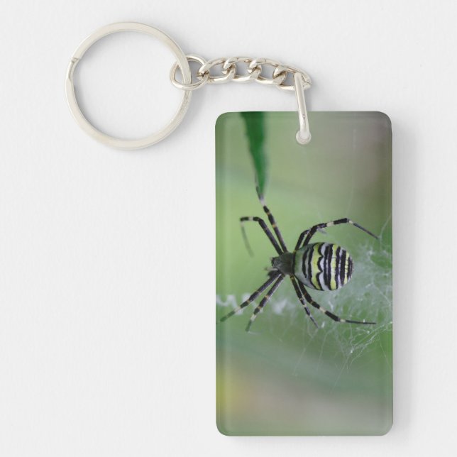 Argiope bruennichi key ring (Front)