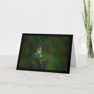 Argiope bruennichi, Wasp Spider, Orb-weaver Card