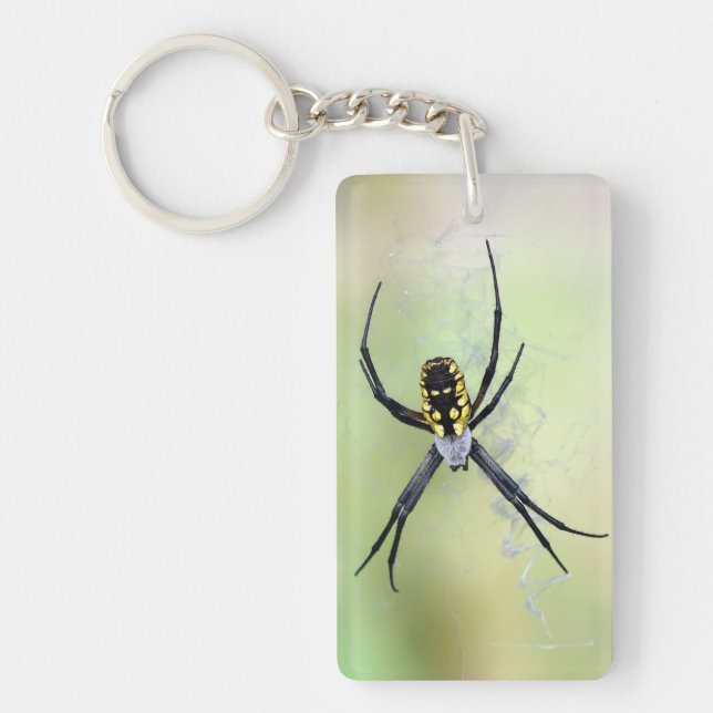 Argiope Garden Spider Acrylic Keychain (Front)