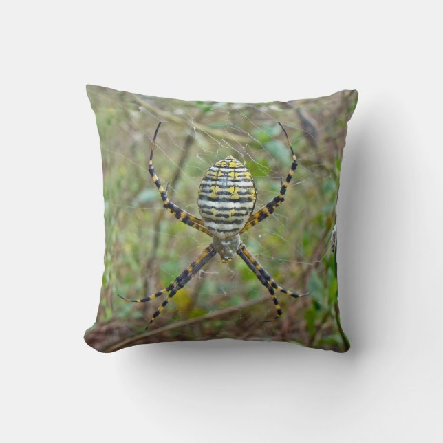 Argiope Orb Weaver Spiders Cushion (Front)