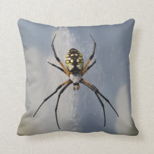 Argiope Spider pillow