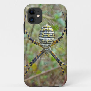 Argiope trifasciata Orb Weaver Spider iPhone 11 Case