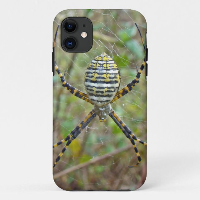 Argiope trifasciata Orb Weaver Spider Case-Mate iPhone Case (Back)