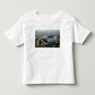 Argyle Diamond Mine Toddler T-Shirt