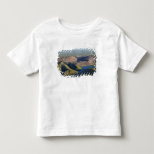 Argyle Diamond Mine Toddler T-Shirt