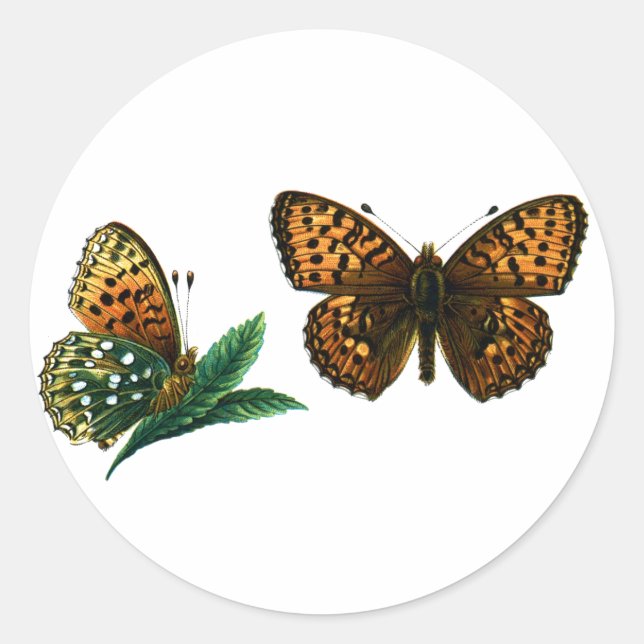 Argynnis aglaja classic round sticker (Front)