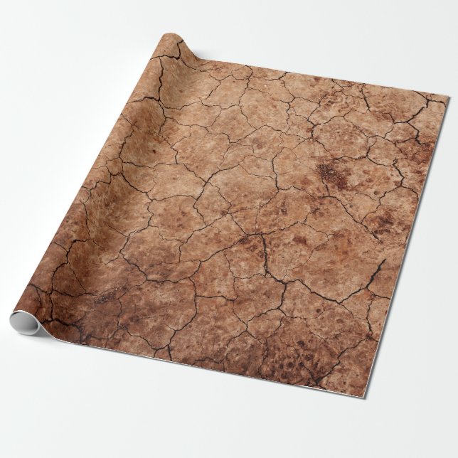 Arid cracked erosion cracks desert wrapping paper (Unrolled)