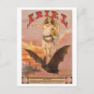 Ariel on a Bat Postcard