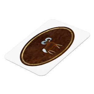 Aries 2008 magnet