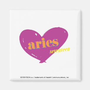 Aries 2 magnet