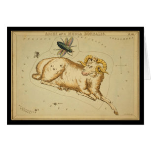 Aries and Musca Borealis