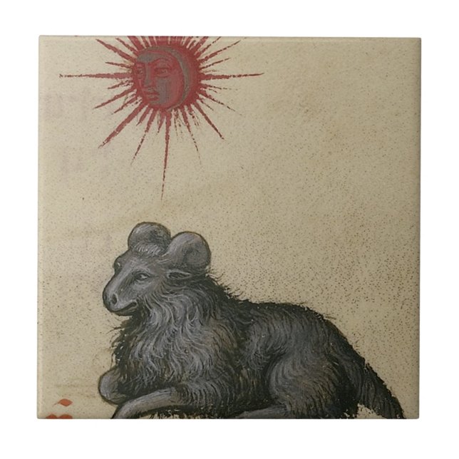 Aries Ceramic Tile (Front)